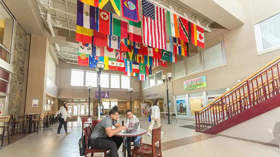 Student sitting under international flags