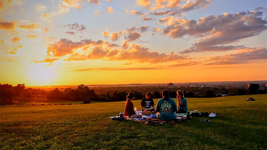 Group of students studying at Thompson Park